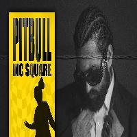 Pitbull By Mc Square Poster